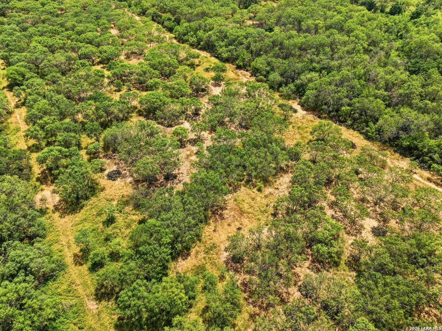8.4 acres in Bexar County - photo 14