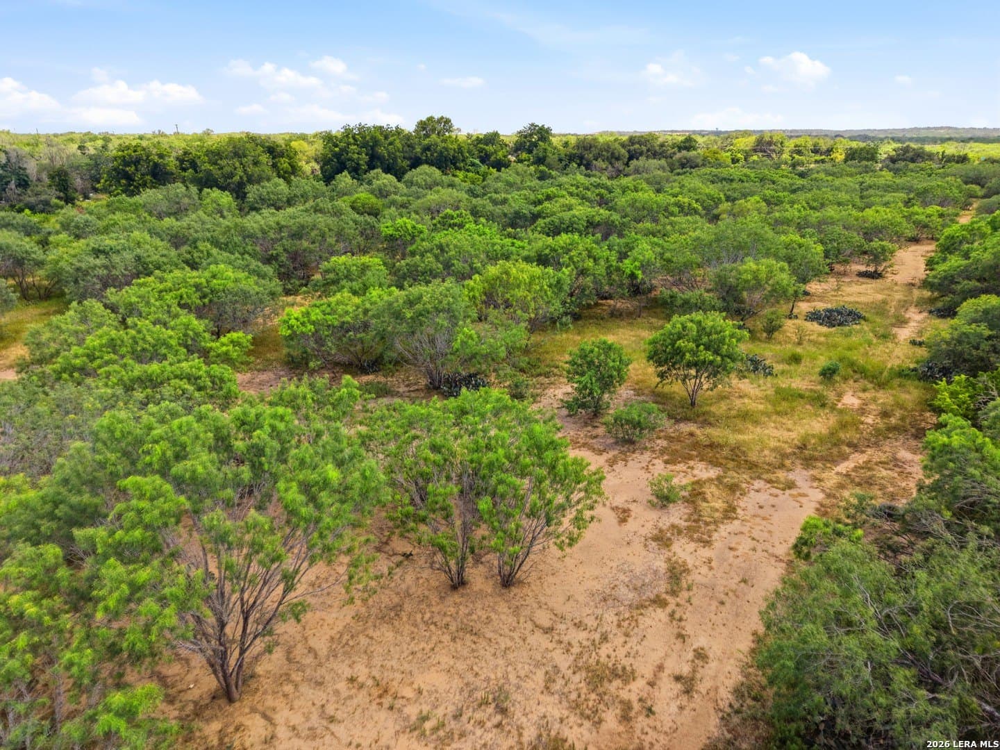 8.4 acres in Bexar County - photo 7