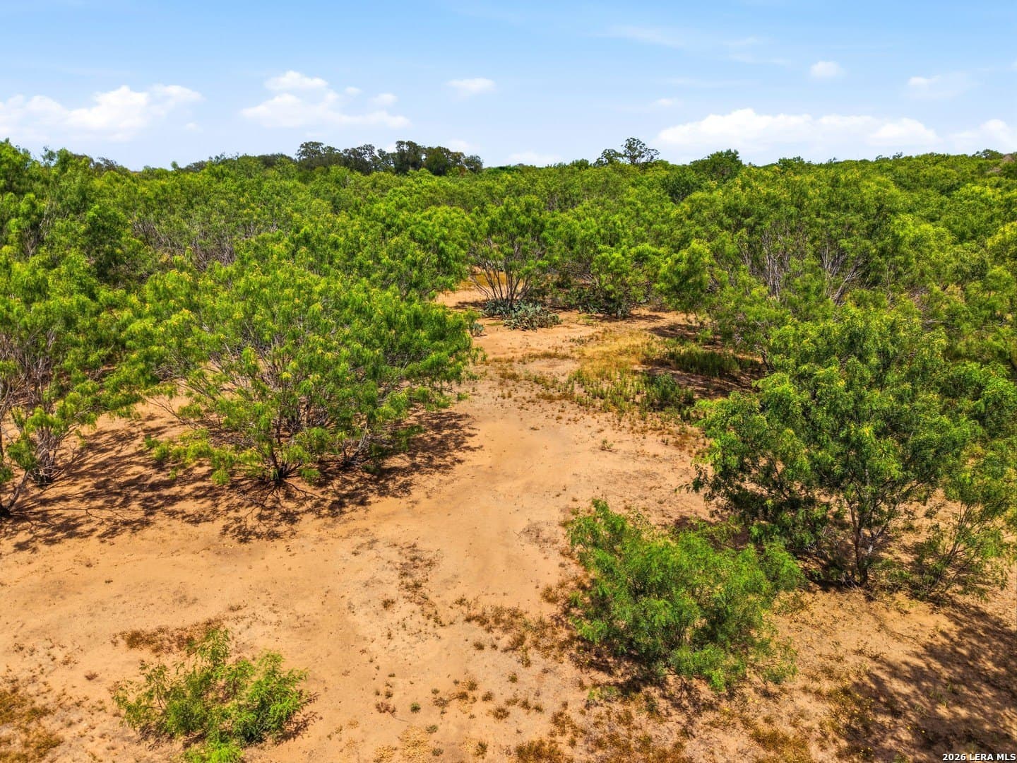 8.4 acres in Bexar County - photo 18