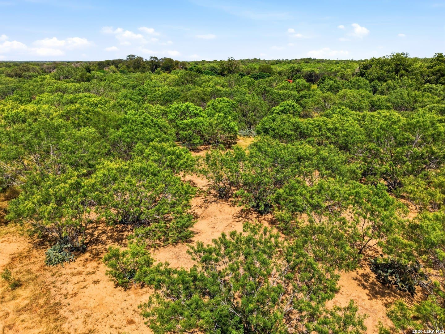 8.4 acres in Bexar County - photo 16