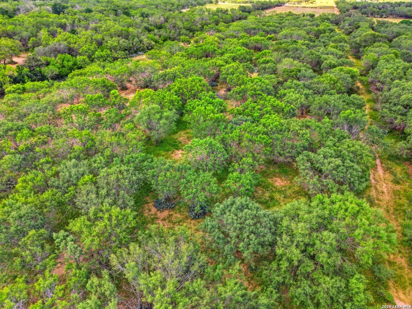8.4 acres in Bexar County featured view