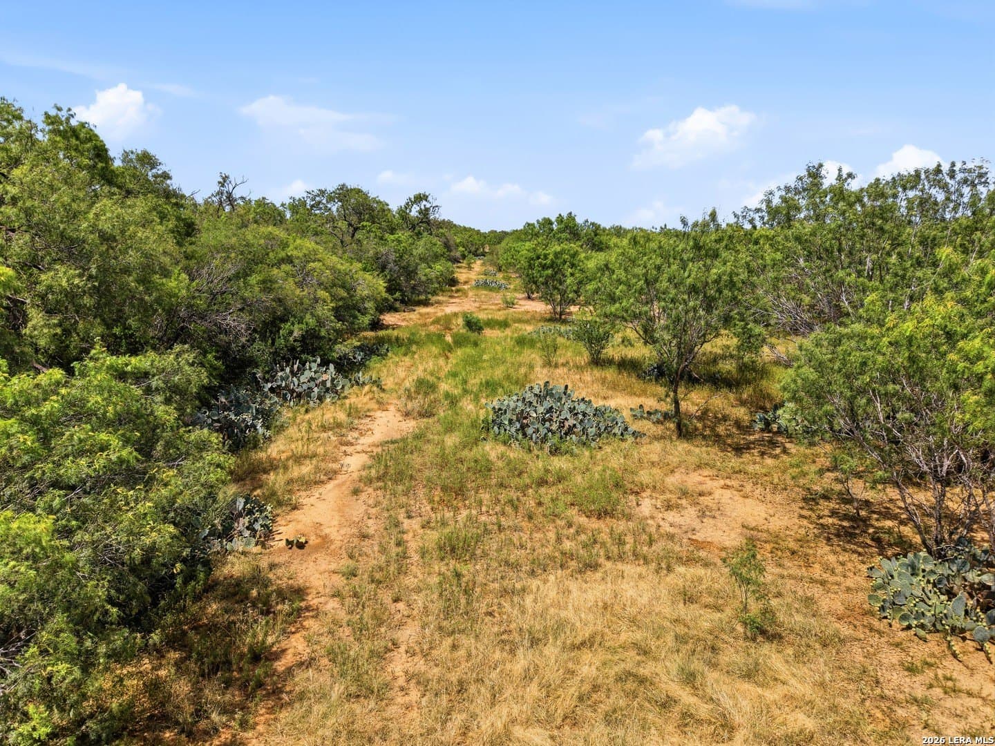 8.4 acres in Bexar County - photo 17
