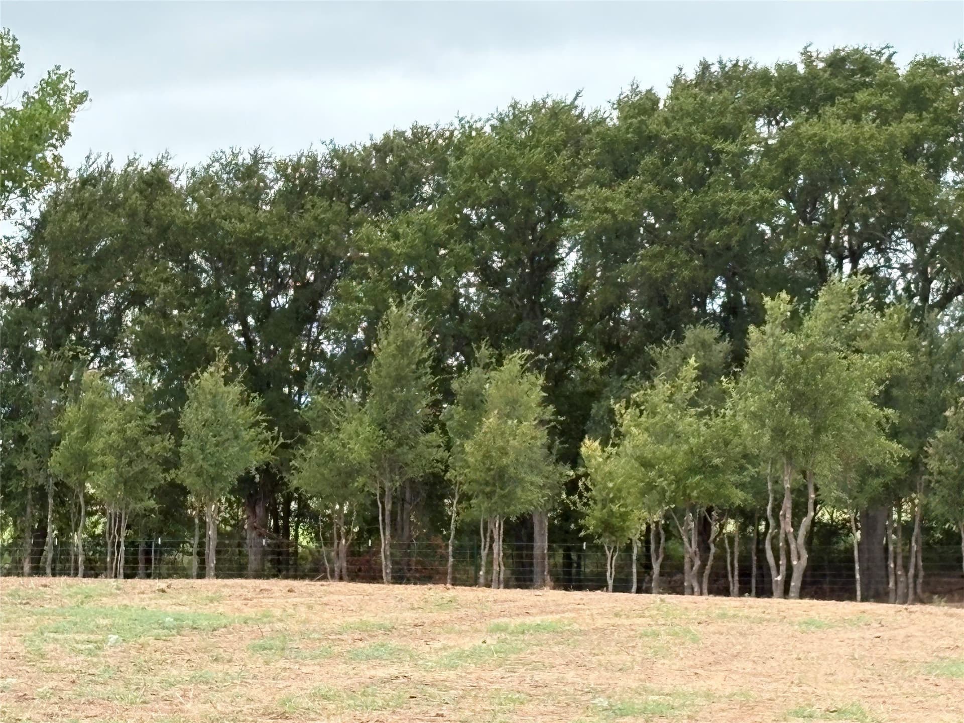 6.5 acres in Eastland County - photo 12