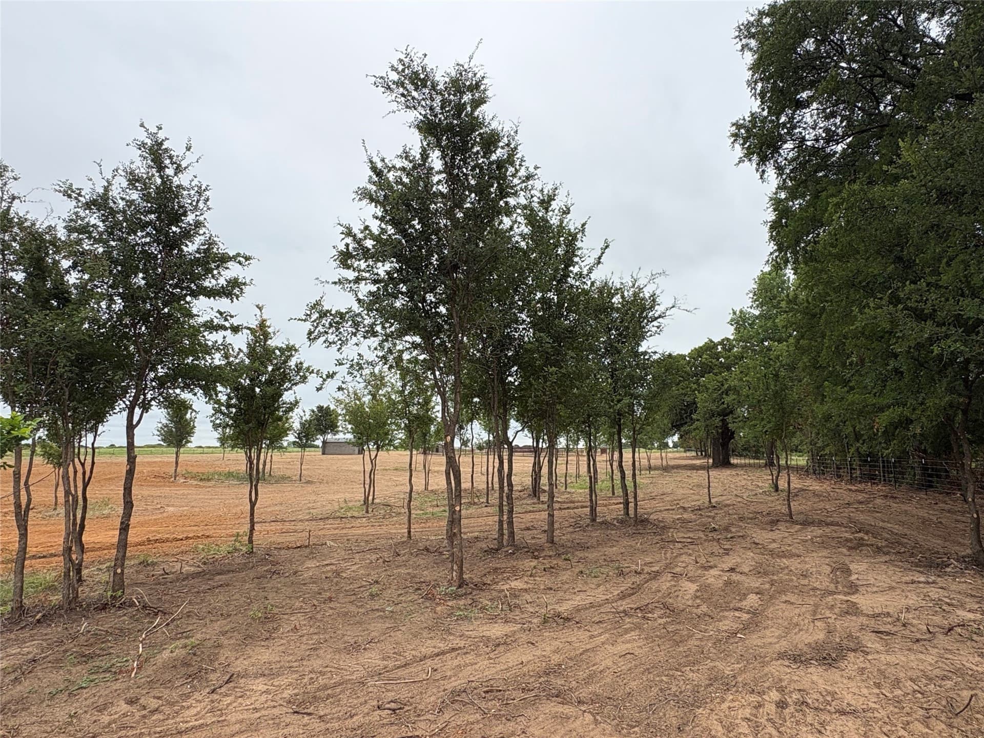 6.5 acres in Eastland County - photo 14