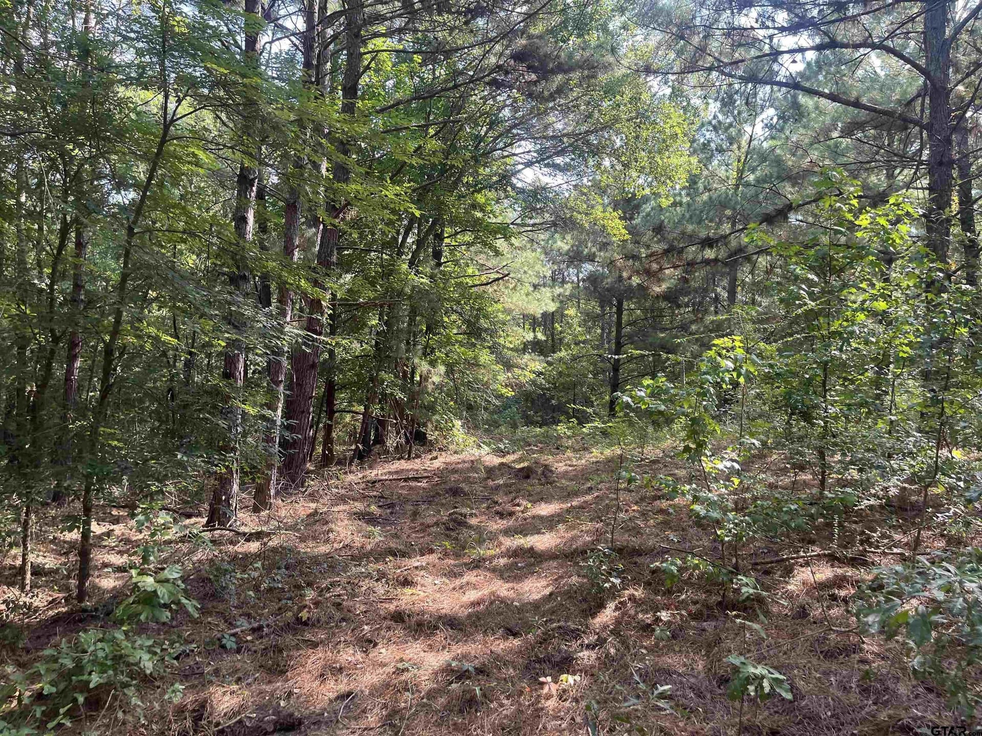 117.2 acres in Cherokee County - photo 10