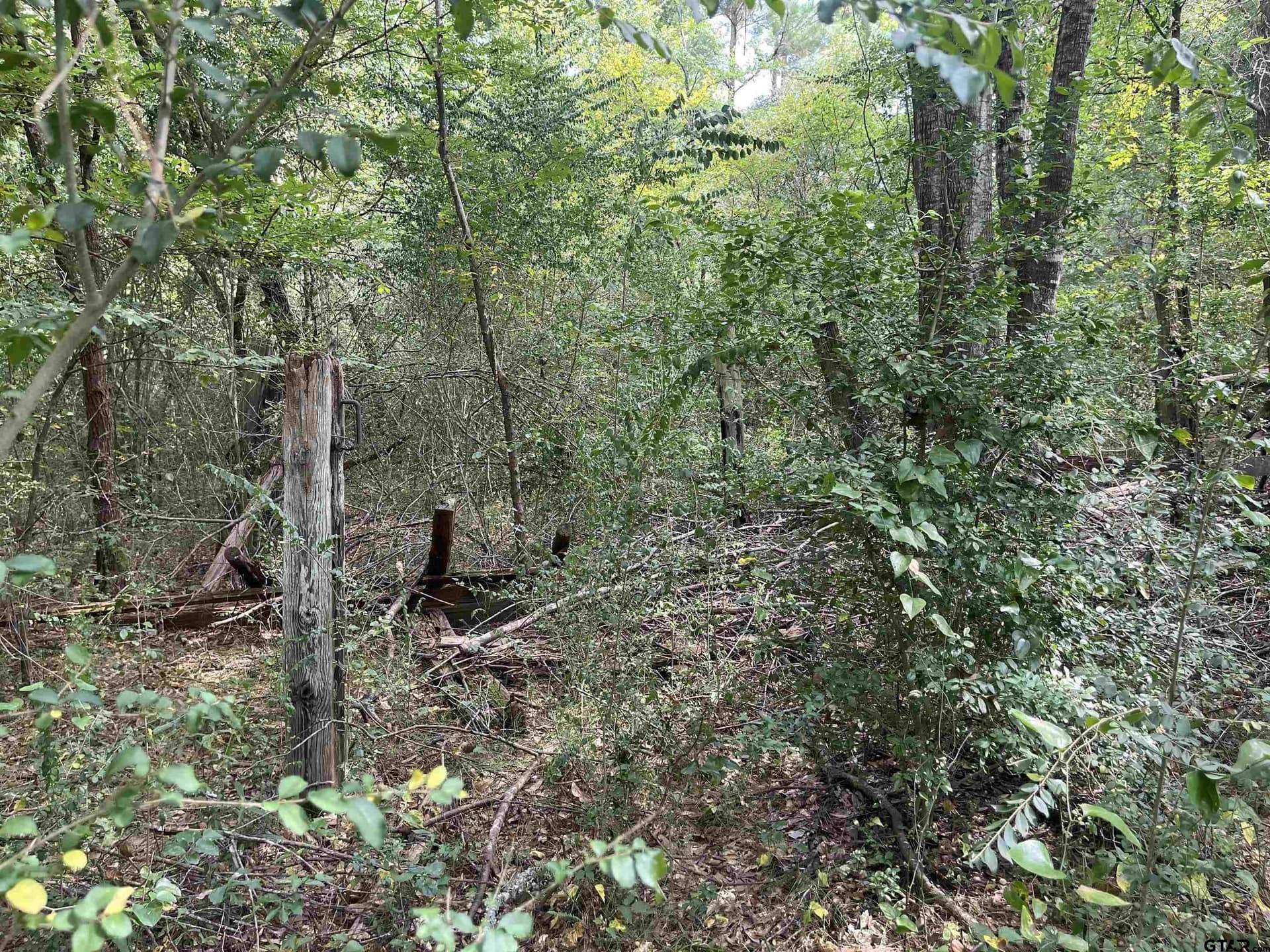 117.2 acres in Cherokee County - photo 39