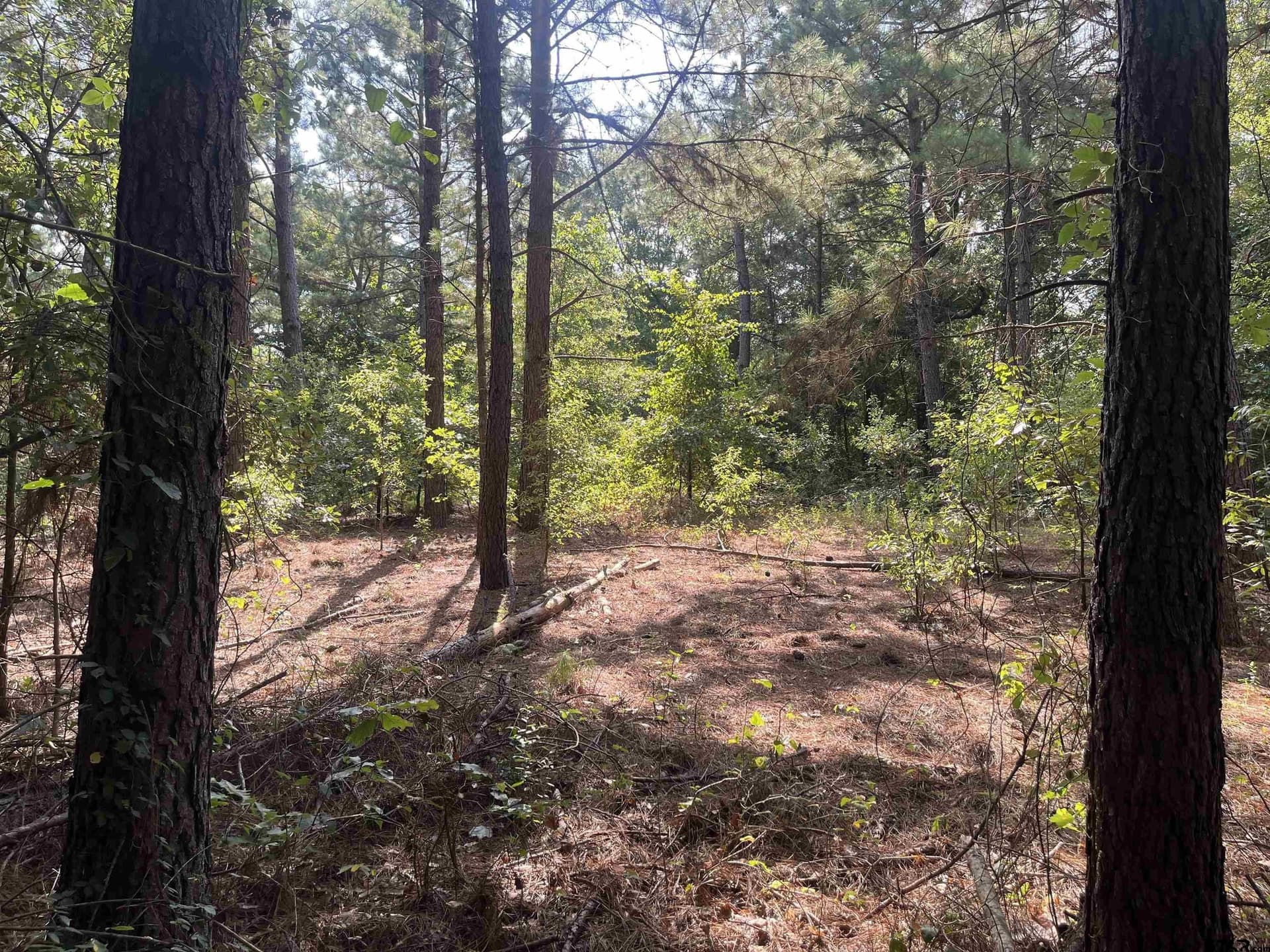 117.2 acres in Cherokee County - photo 8