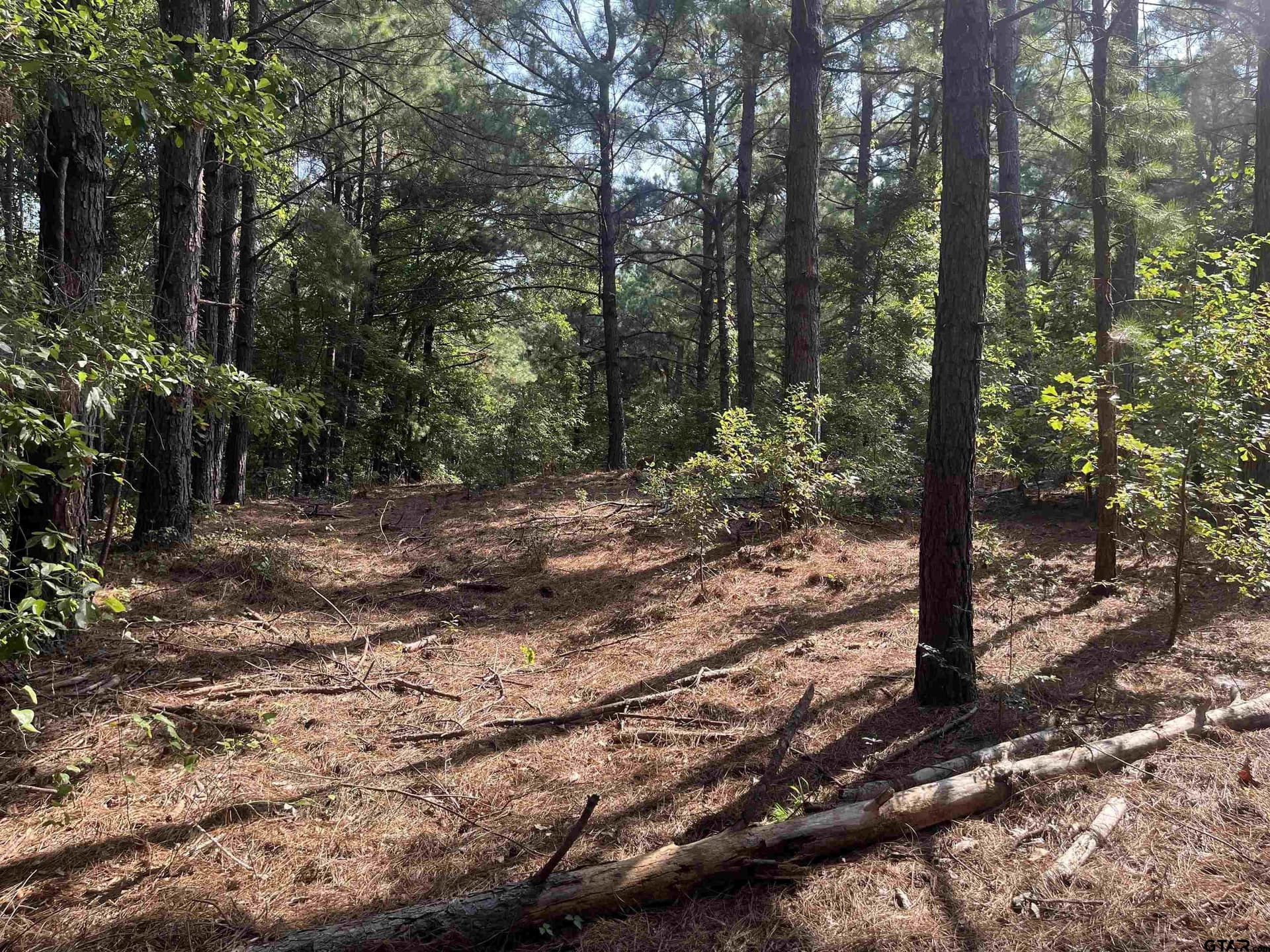 117.2 acres in Cherokee County - photo 9