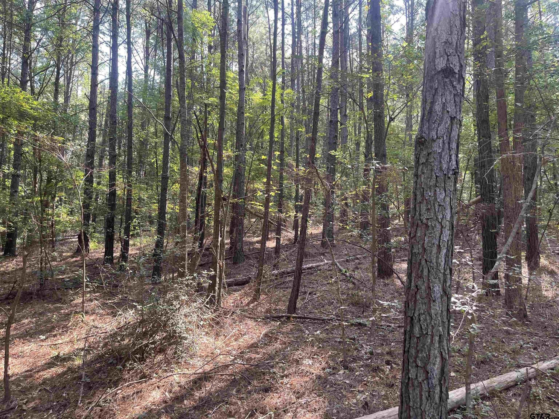 117.2 acres in Cherokee County - photo 6