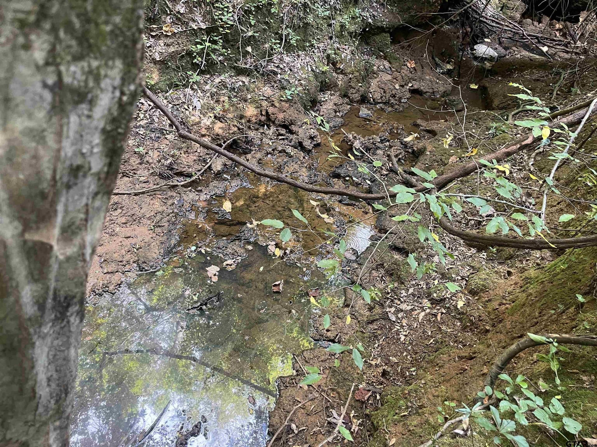 117.2 acres in Cherokee County - photo 24
