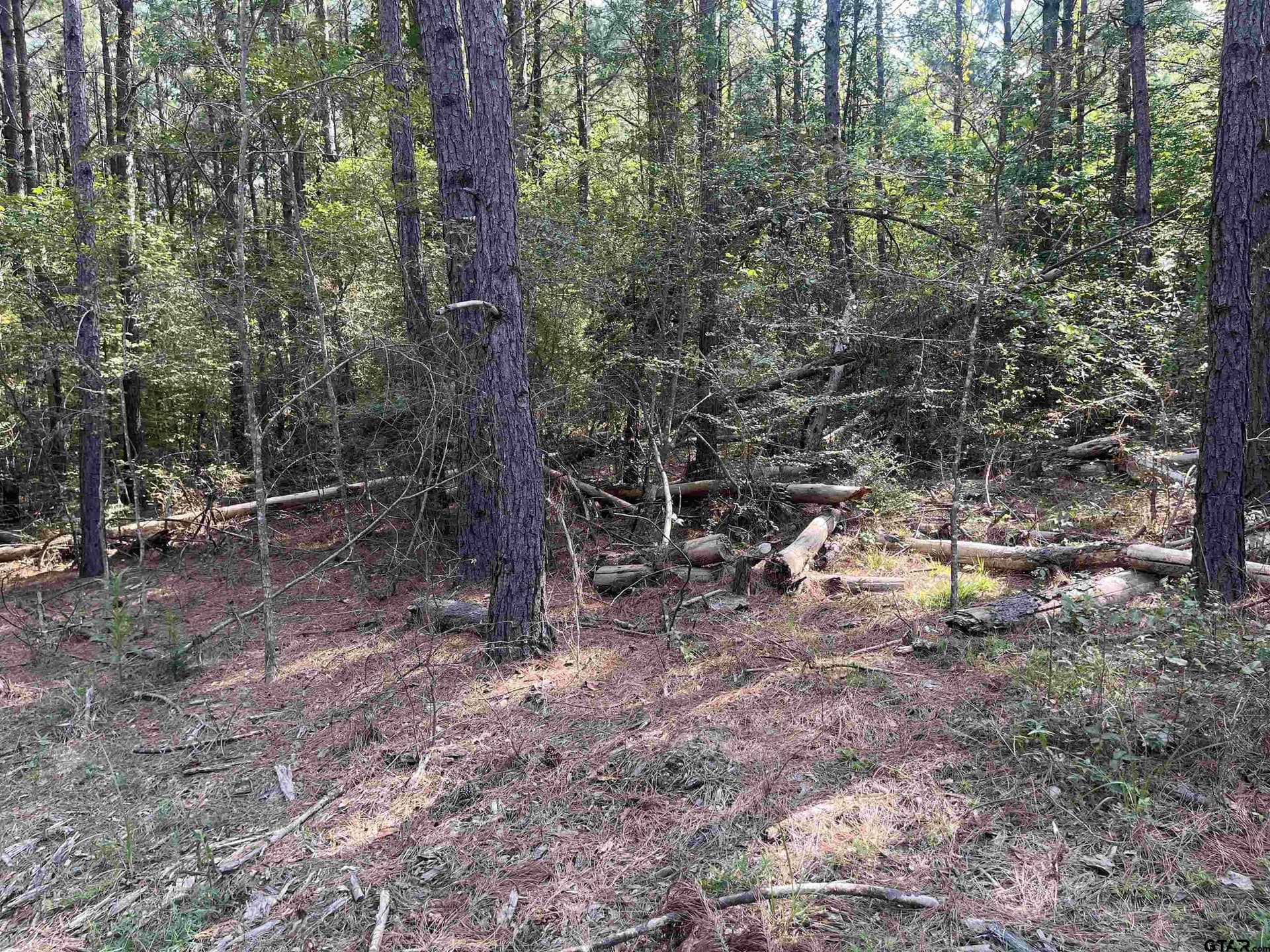 117.2 acres in Cherokee County - photo 4