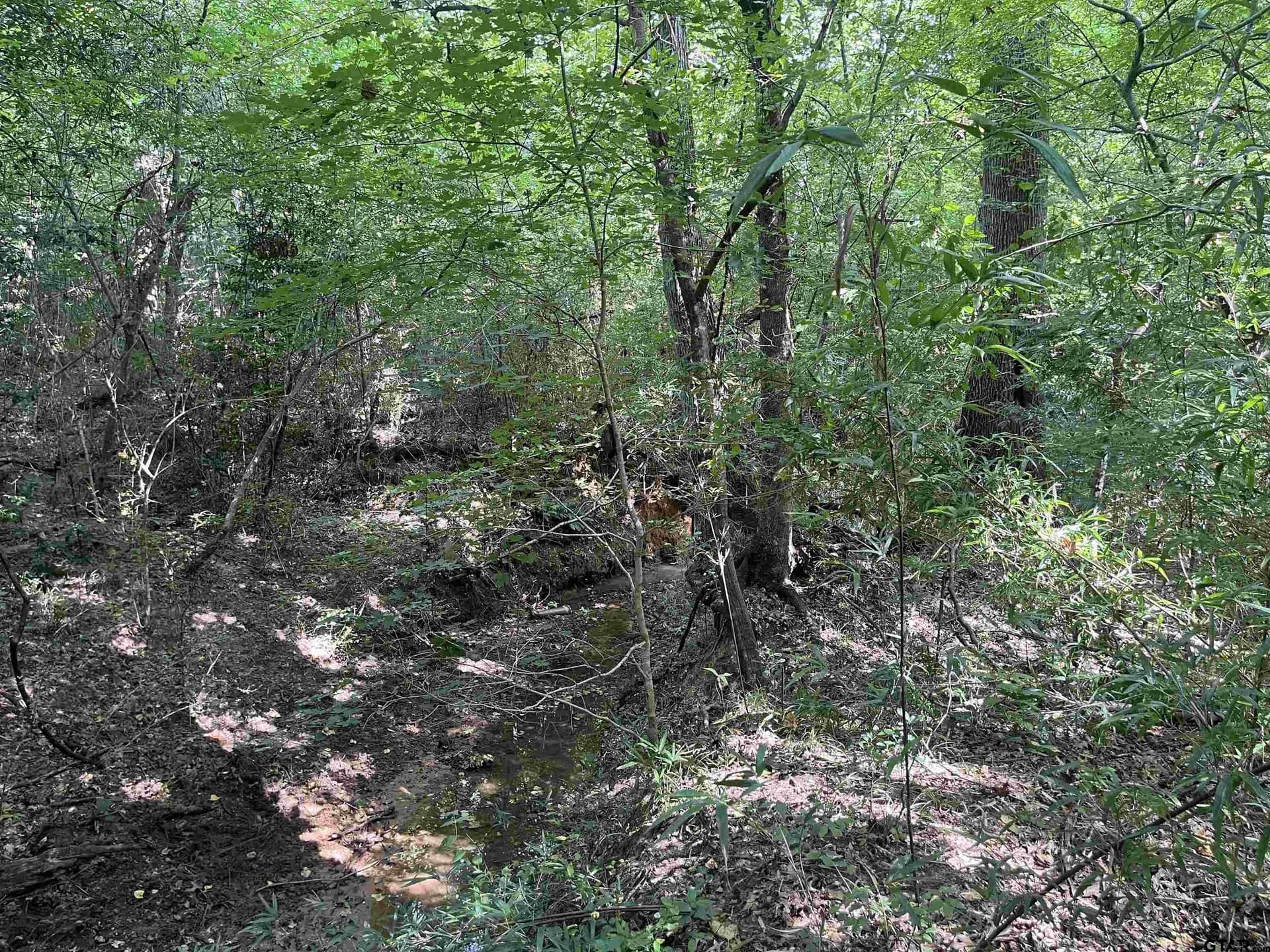 117.2 acres in Cherokee County - photo 36