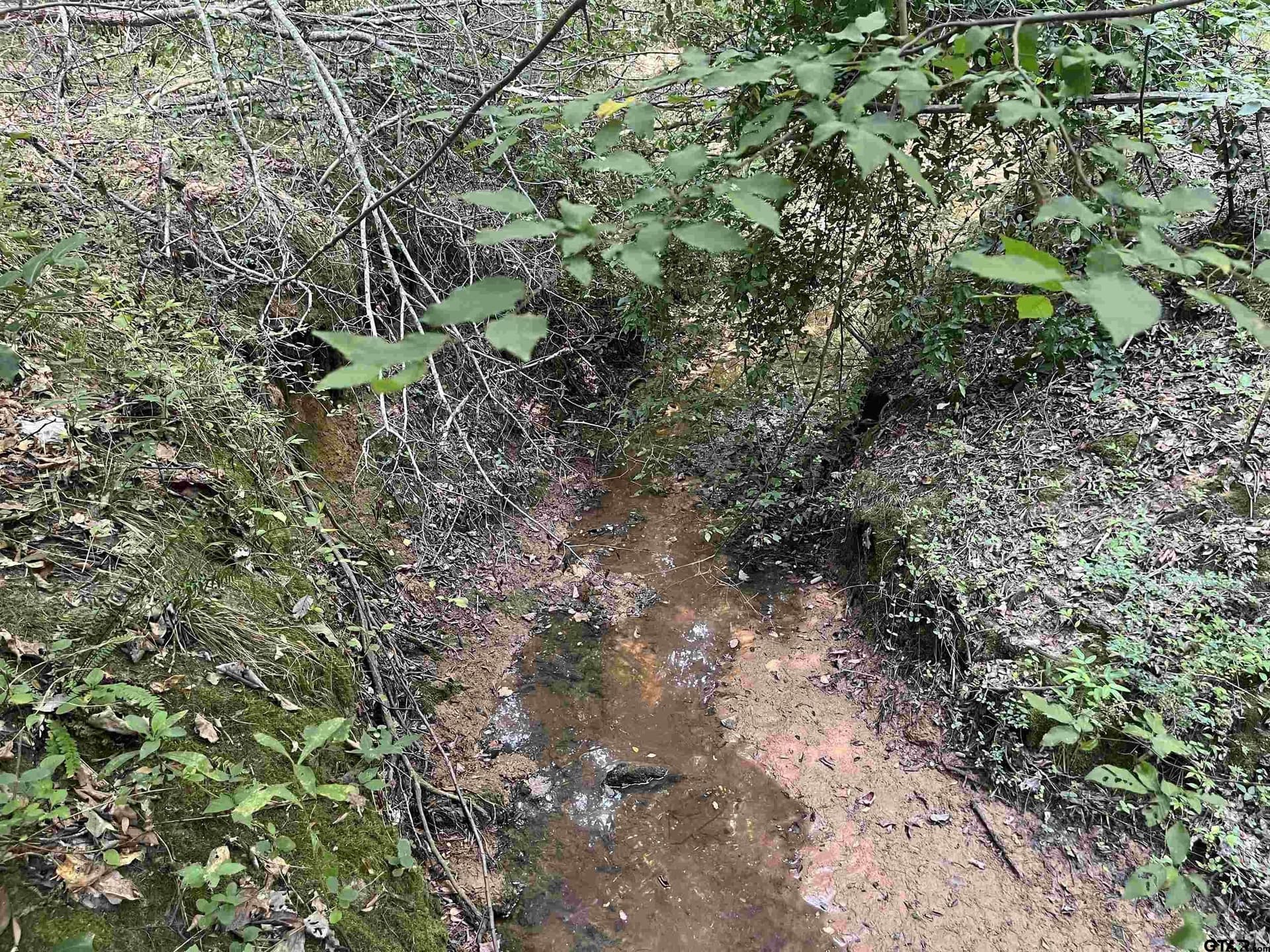 117.2 acres in Cherokee County - photo 22