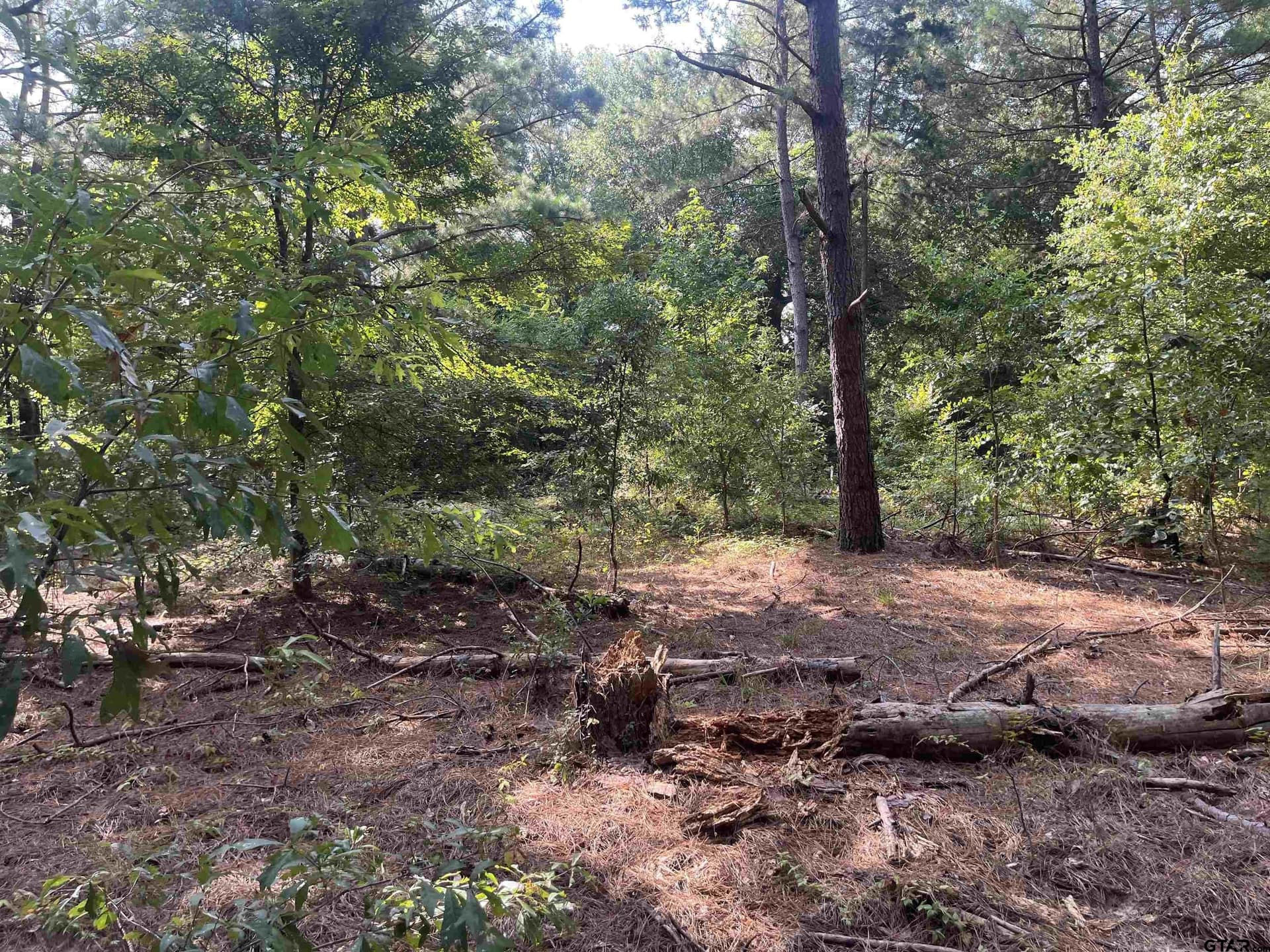 117.2 acres in Cherokee County - photo 11