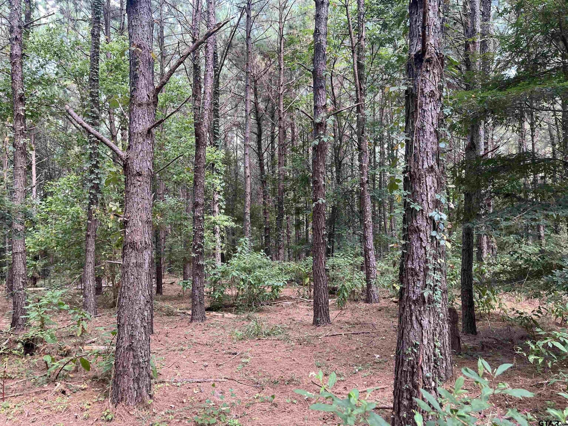 117.2 acres in Cherokee County - photo 42