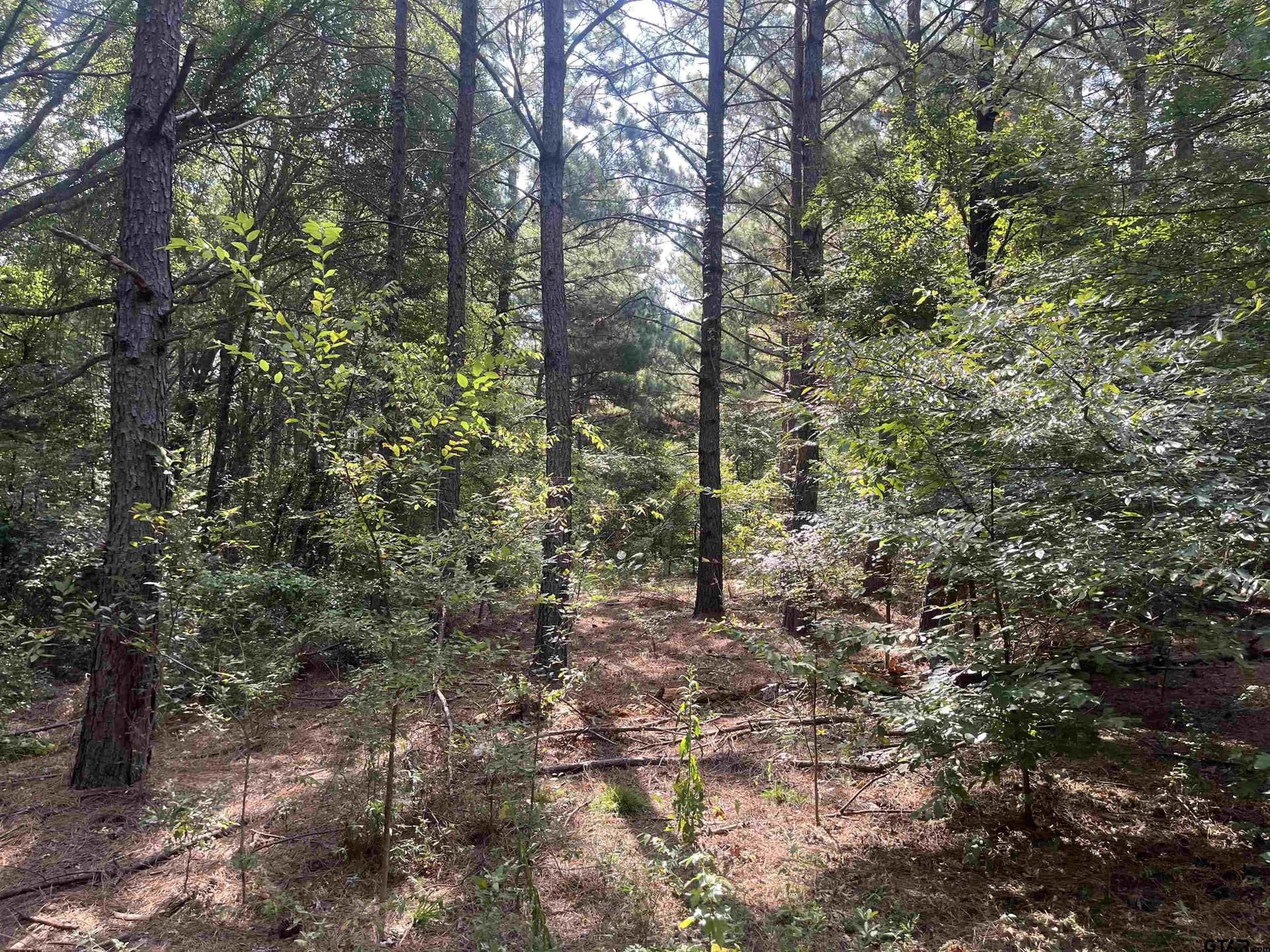 117.2 acres in Cherokee County - photo 13