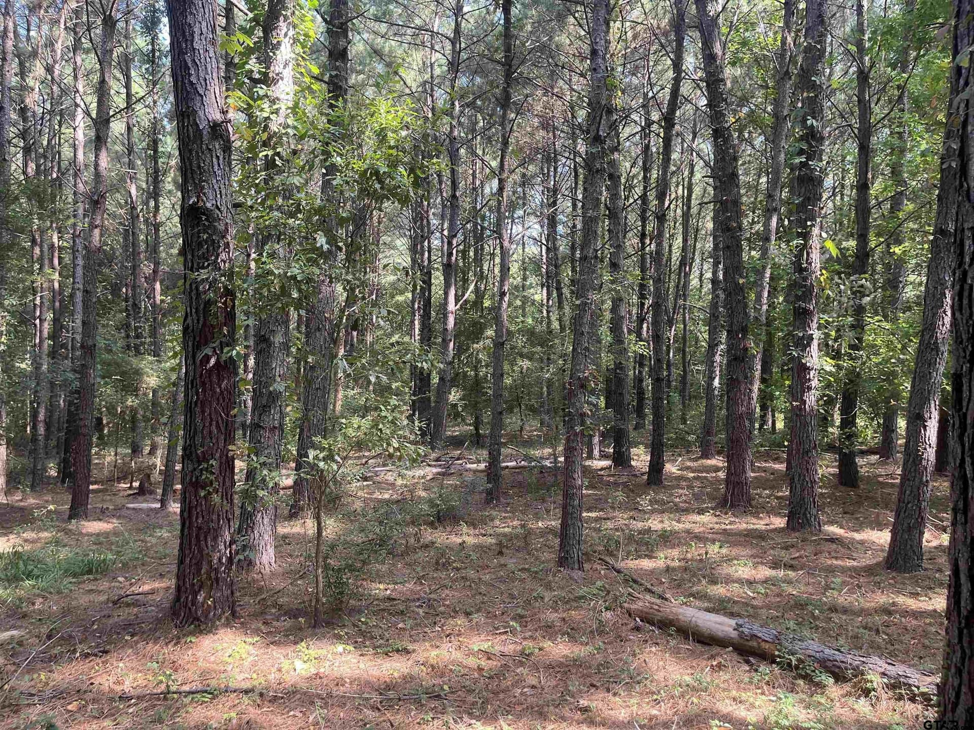 117.2 acres in Cherokee County - photo 18