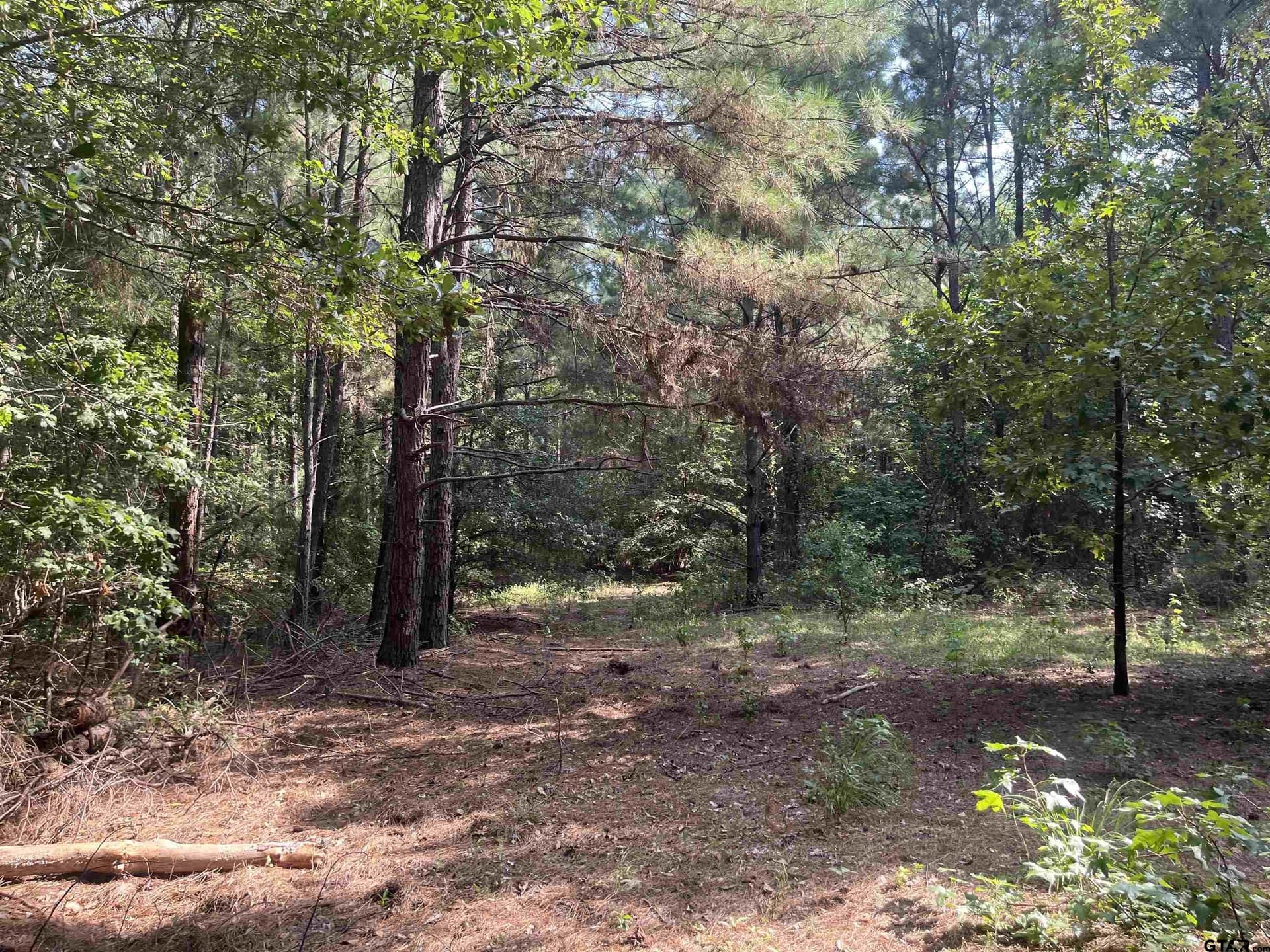 117.2 acres in Cherokee County - photo 12