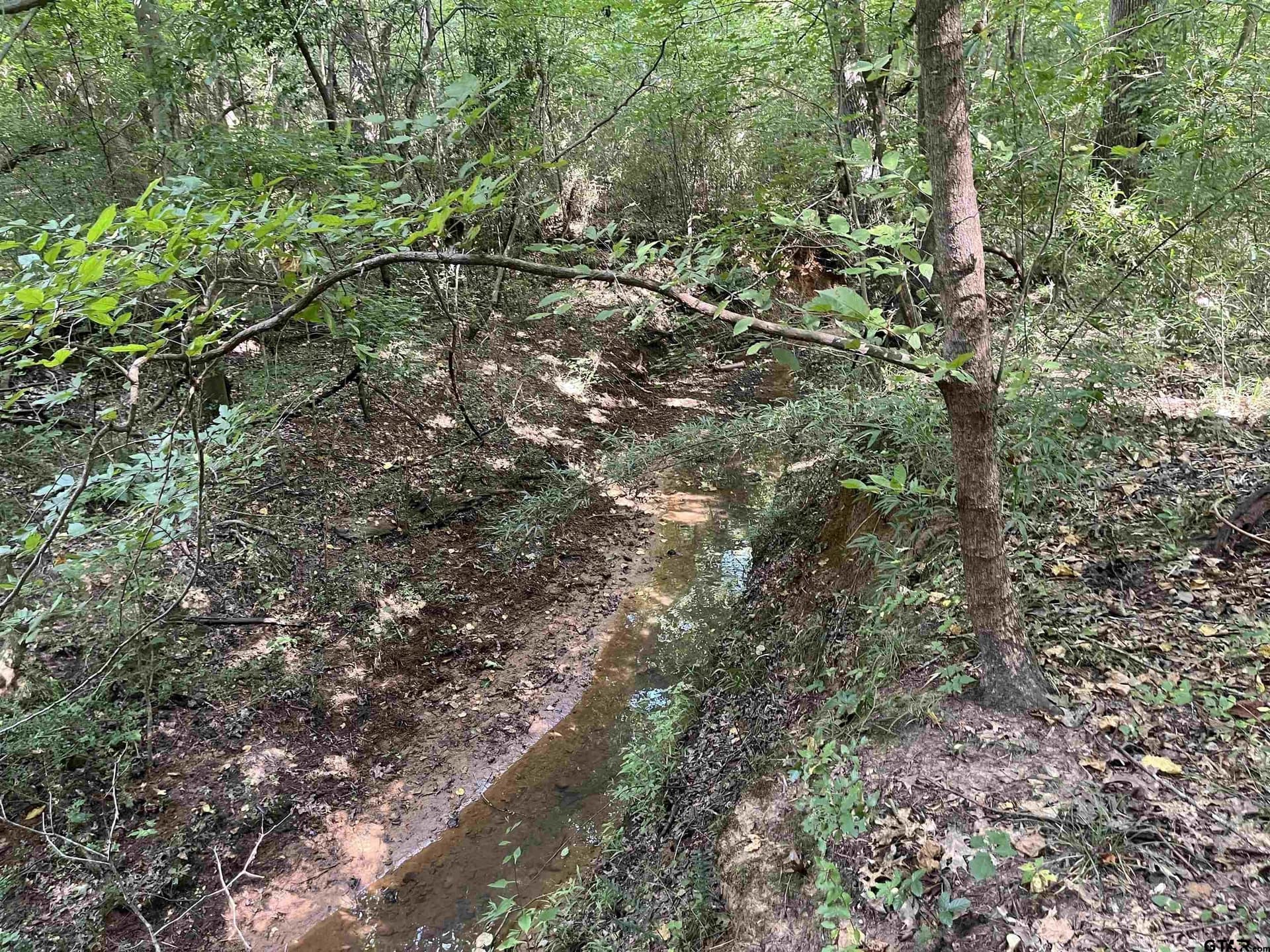 117.2 acres in Cherokee County - photo 34