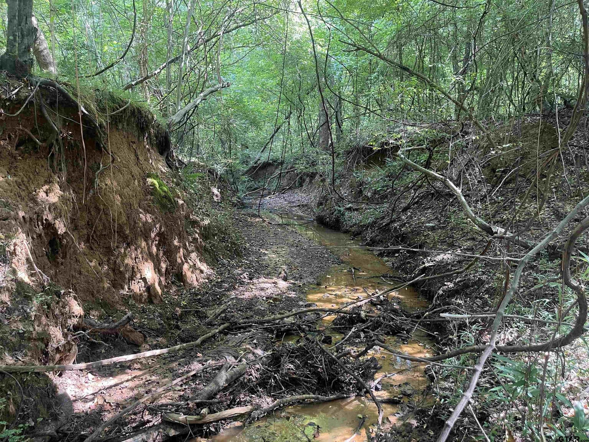 117.2 acres in Cherokee County - photo 29