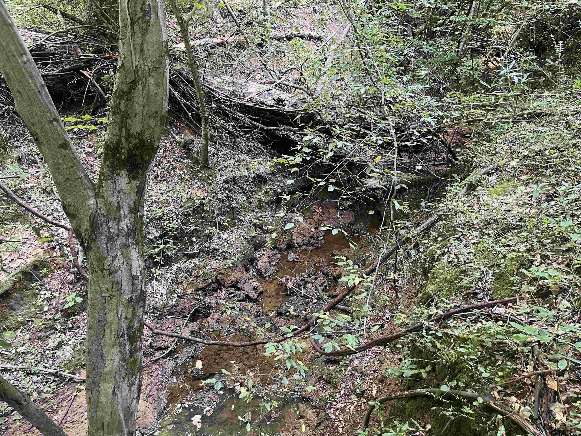 117.2 acres in Cherokee County - photo 21