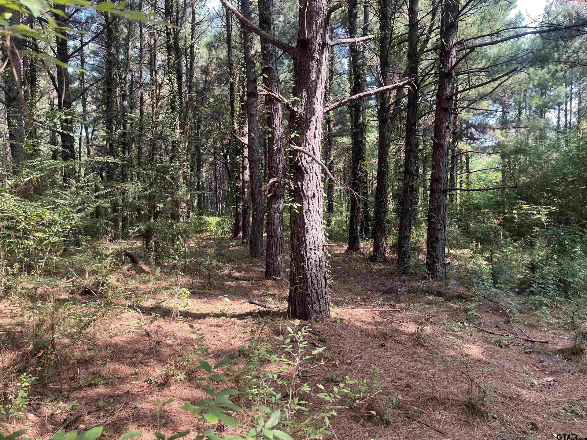 117.2 acres in Cherokee County - photo 15