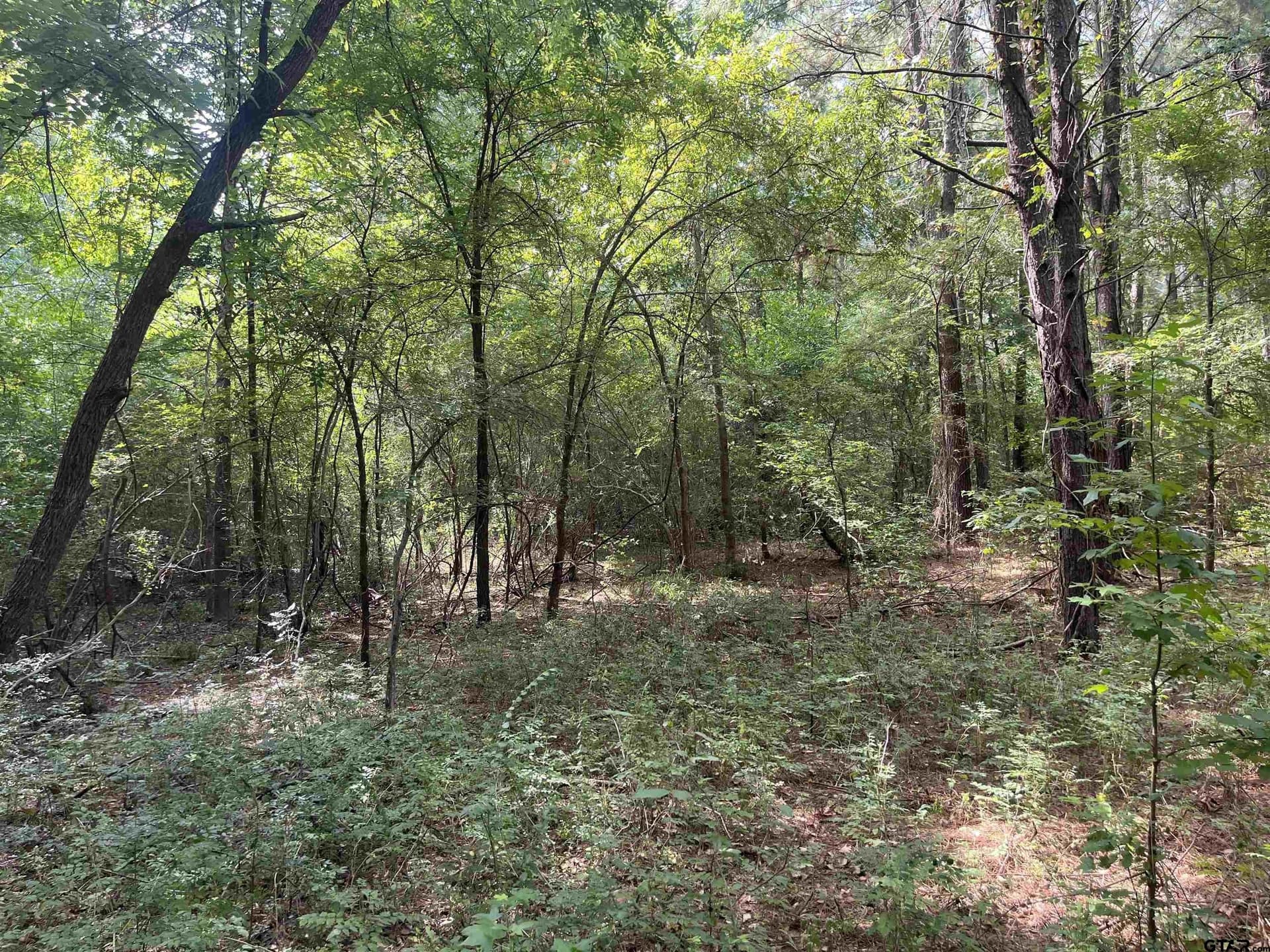 117.2 acres in Cherokee County - photo 38