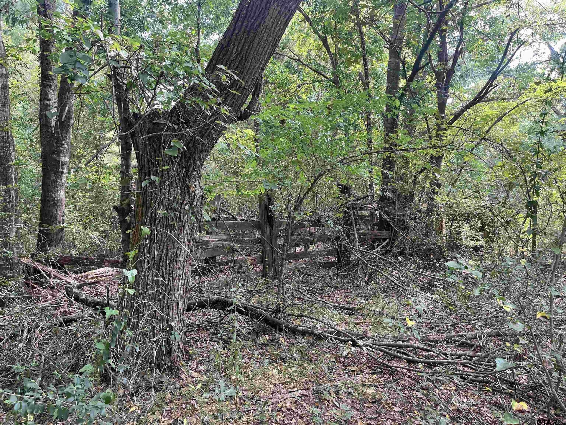 117.2 acres in Cherokee County - photo 40