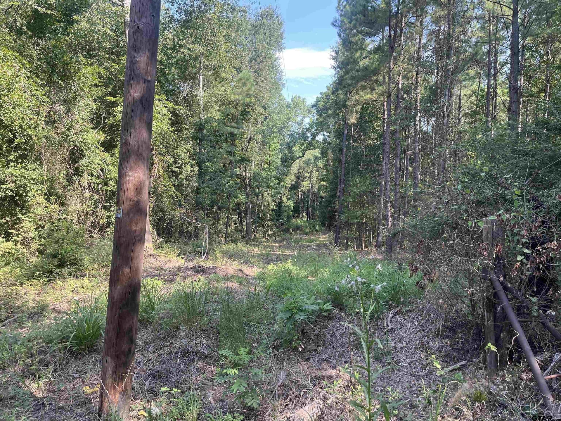 117.2 acres in Cherokee County - photo 3