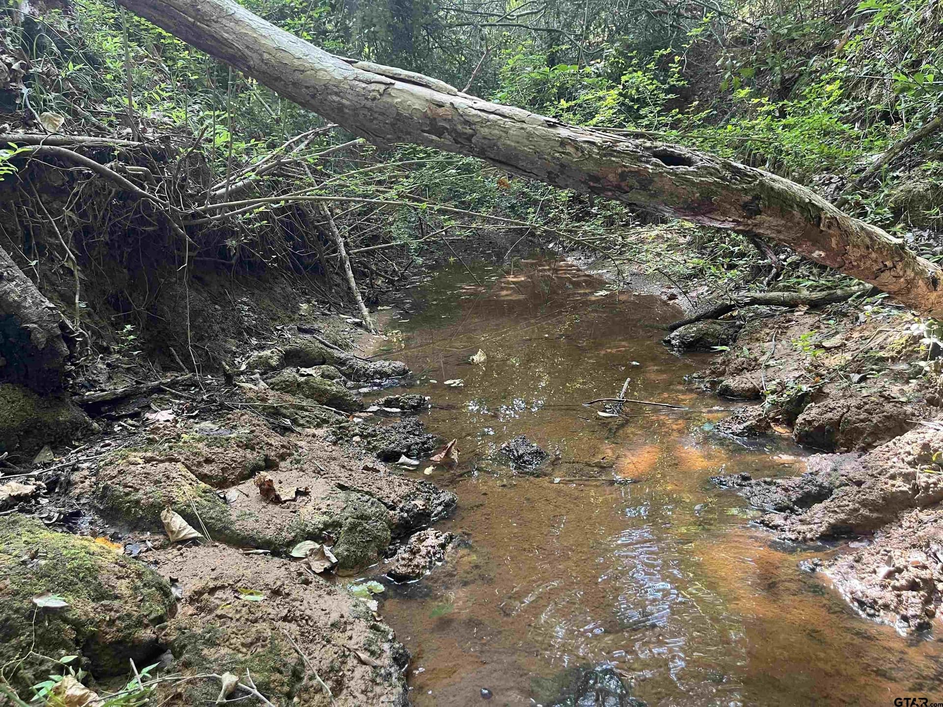 117.2 acres in Cherokee County - photo 27