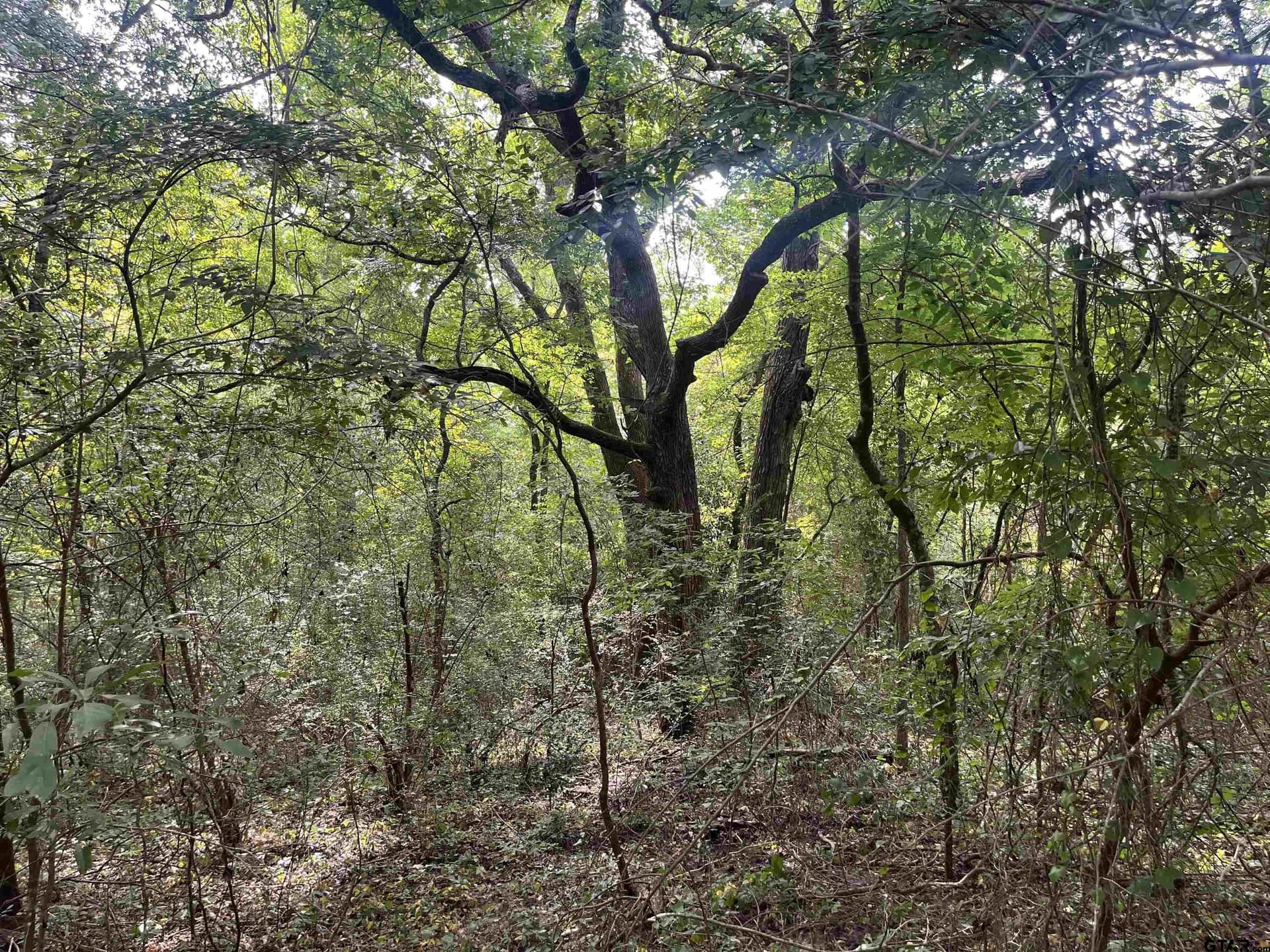 117.2 acres in Cherokee County - photo 41