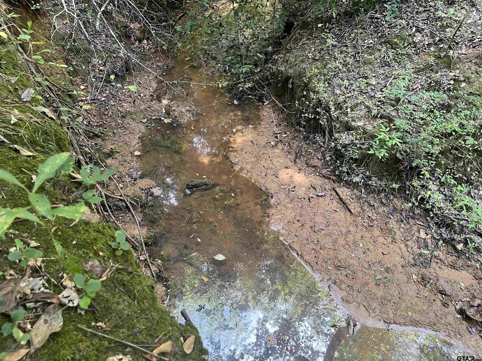 117.2 acres in Cherokee County - photo 23