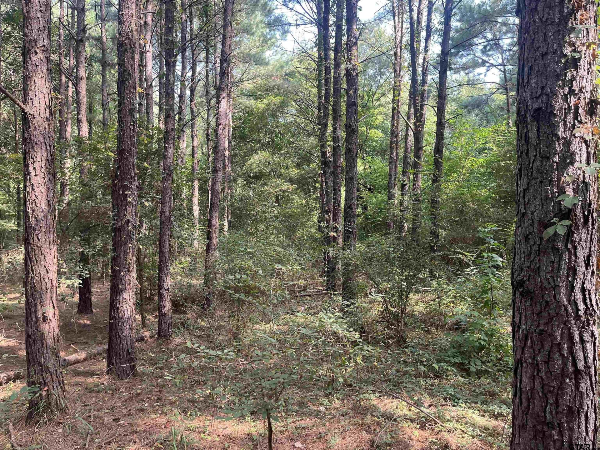117.2 acres in Cherokee County - photo 19