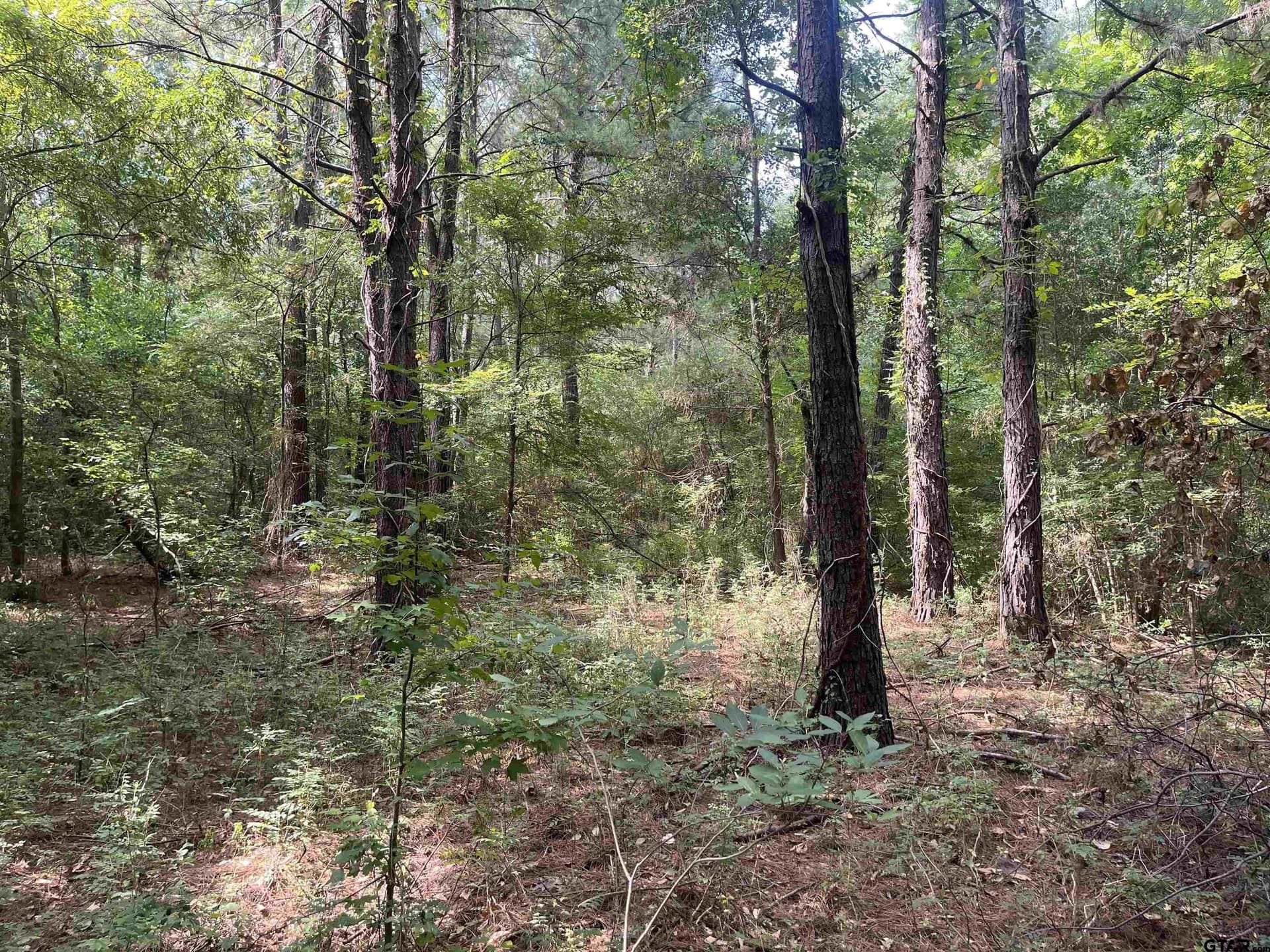 117.2 acres in Cherokee County - photo 37
