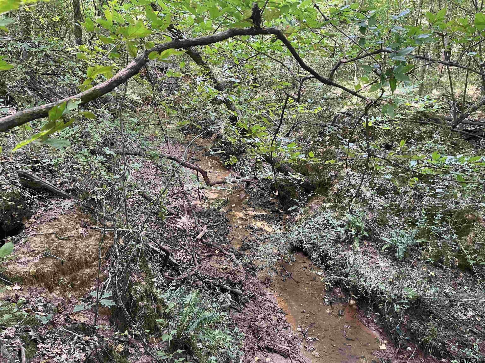117.2 acres in Cherokee County - photo 35