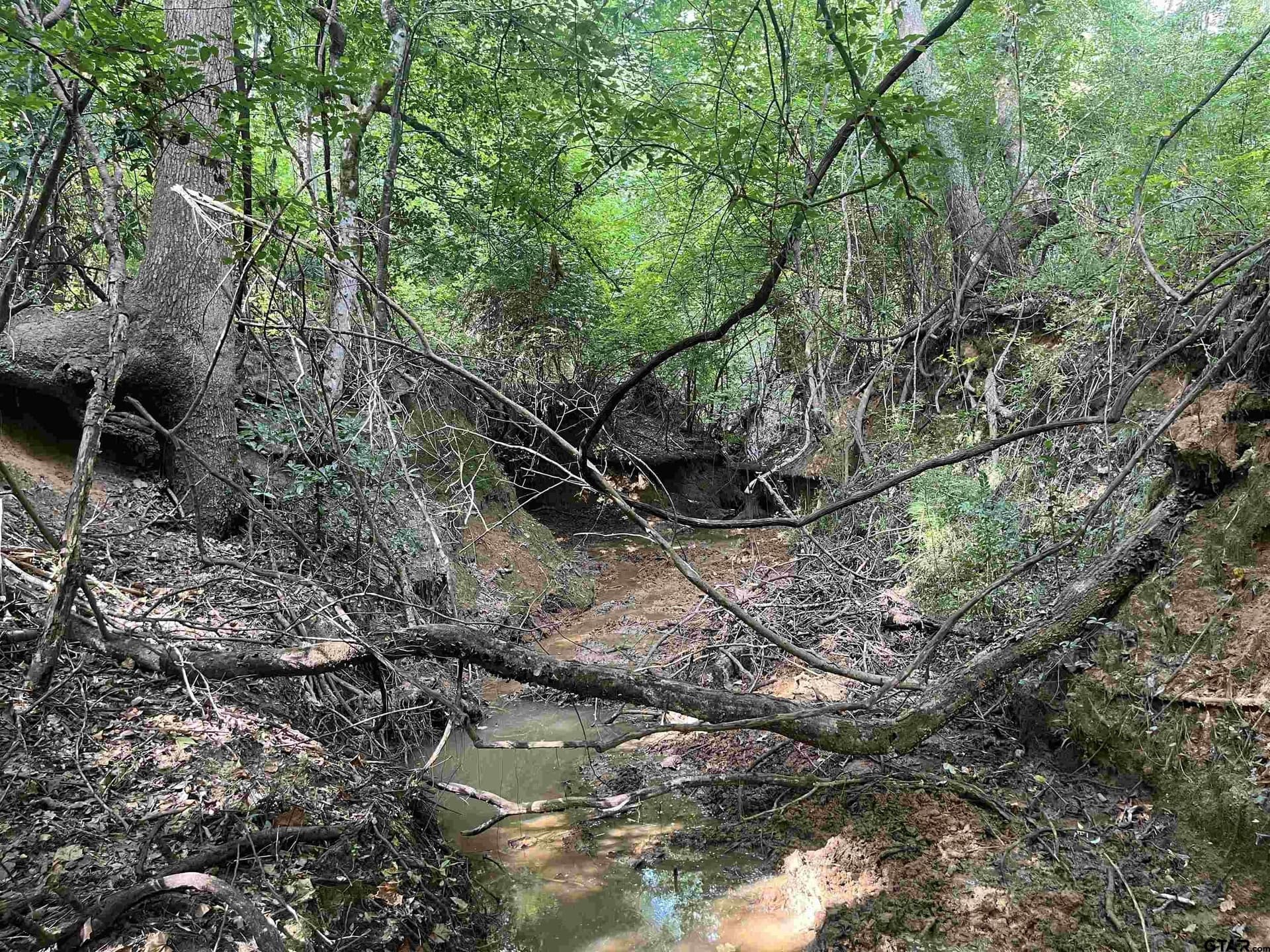 117.2 acres in Cherokee County - photo 30