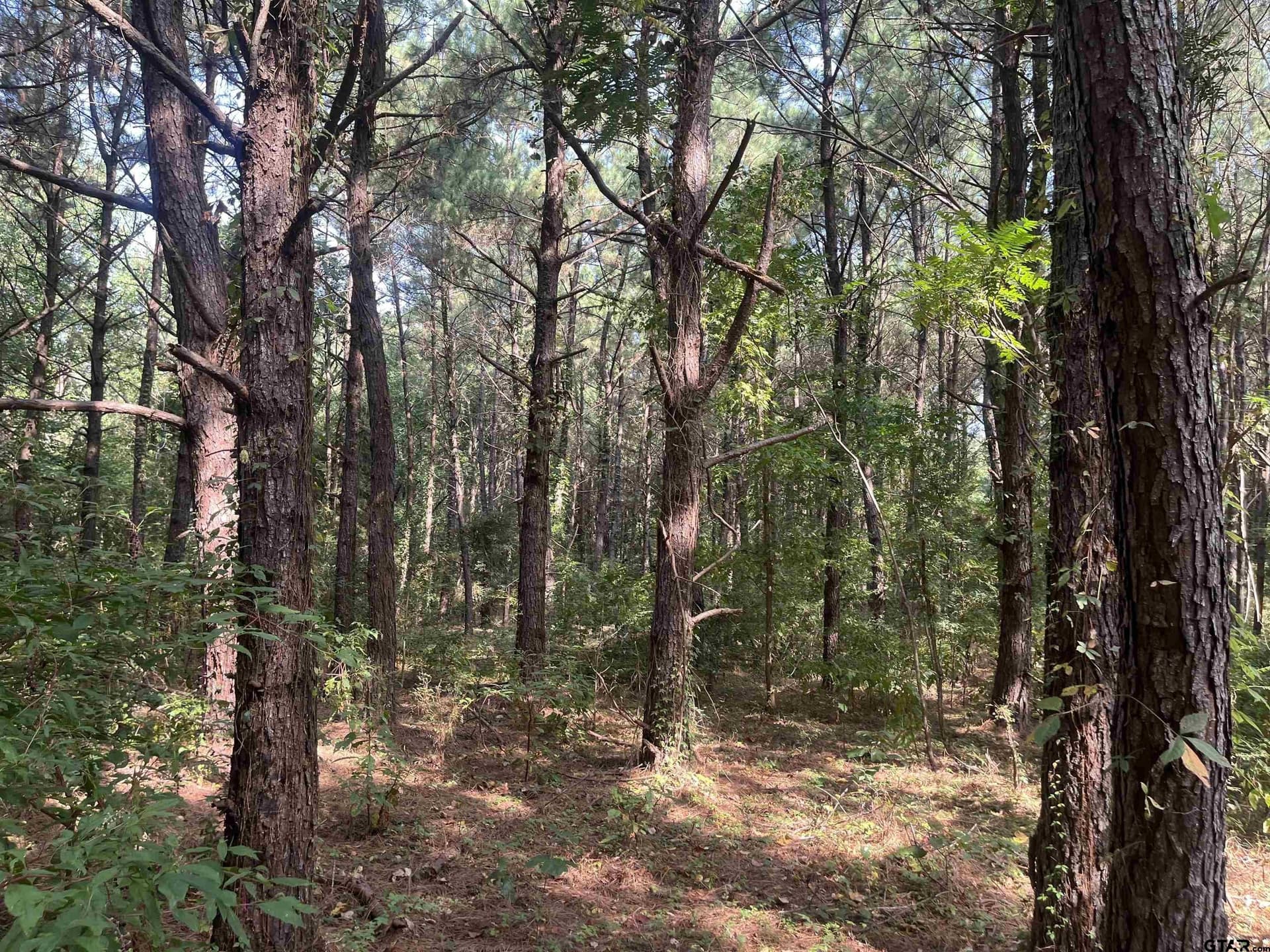 117.2 acres in Cherokee County - photo 17