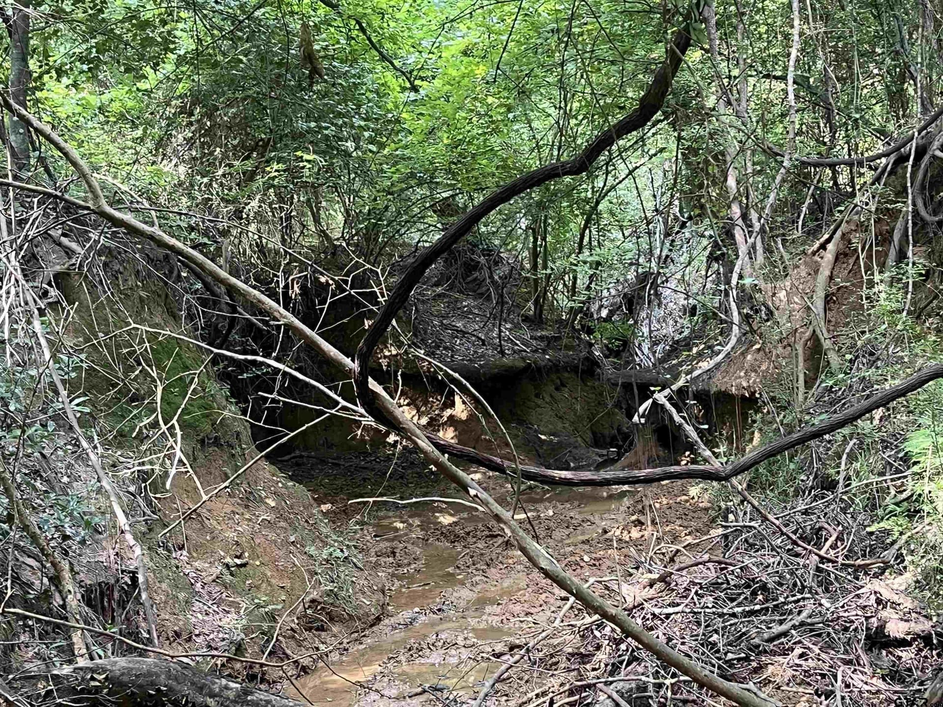 117.2 acres in Cherokee County - photo 31