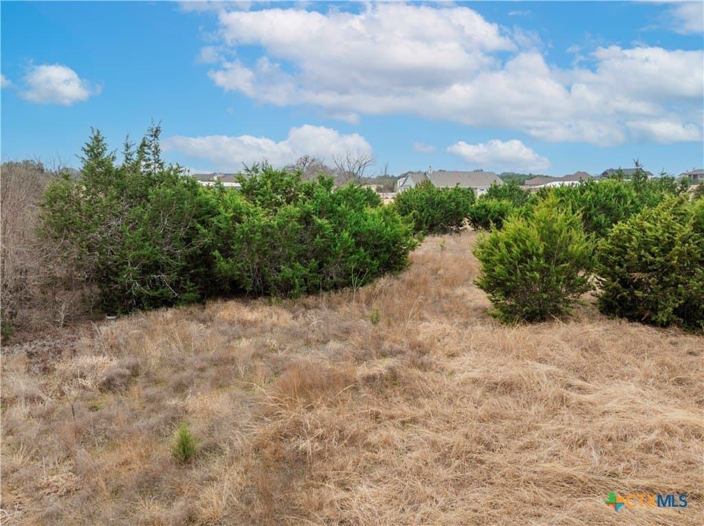 2.03 acres in Williamson County - photo 10