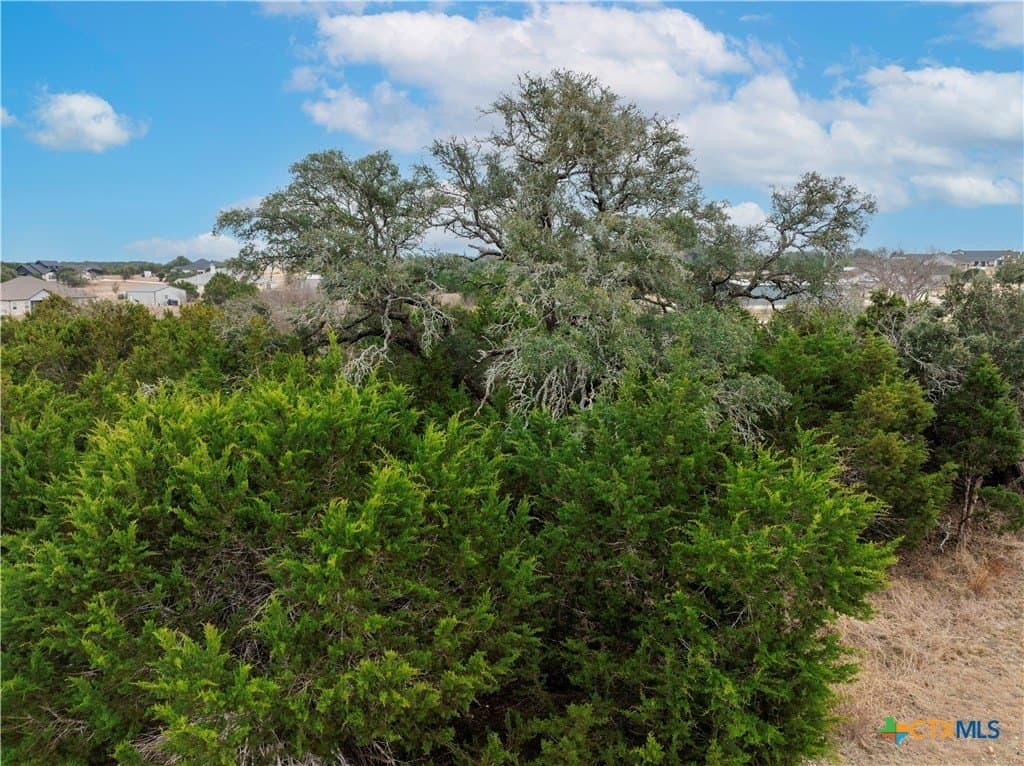 2.03 acres in Williamson County - photo 9