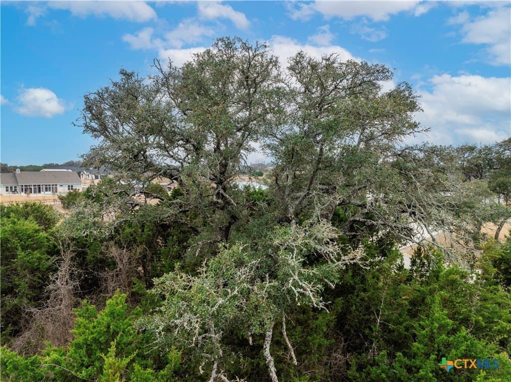 2.03 acres in Williamson County - photo 8