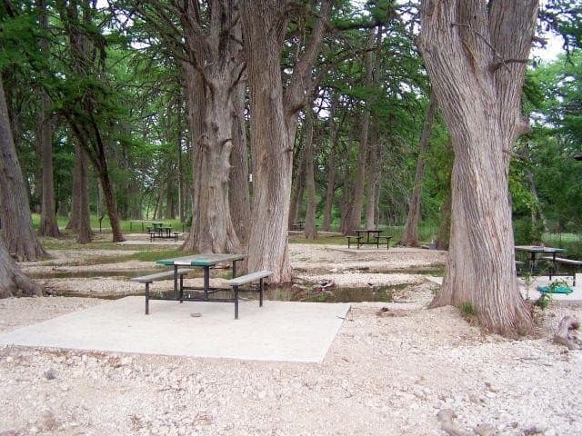 14 acres in Real County - photo 16