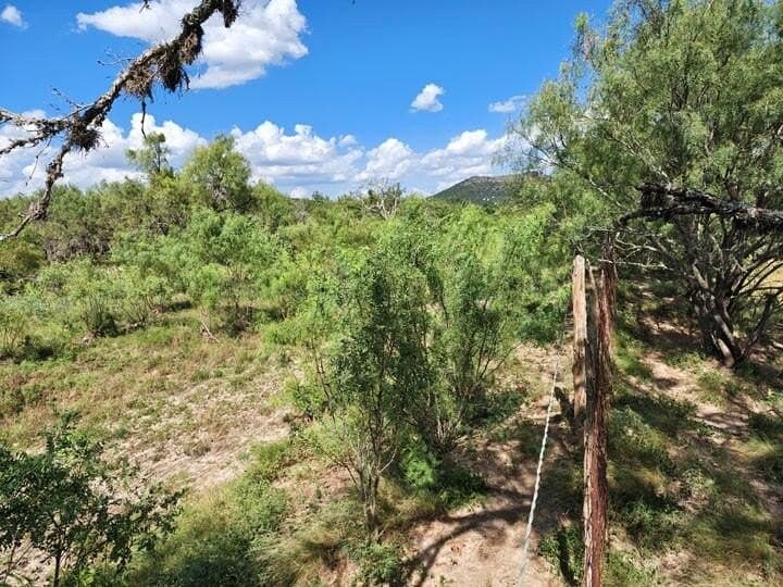 14 acres in Real County - photo 8