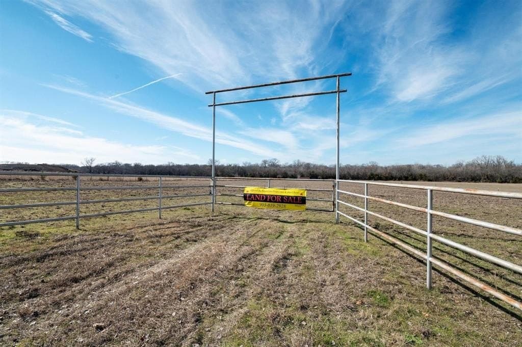 29.31 acres in Collin County gallery image 4