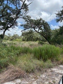 0.56 acres in Texas County gallery image 2
