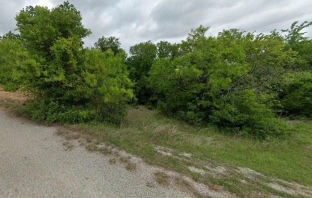 0.23 acres in Wise County gallery image 4
