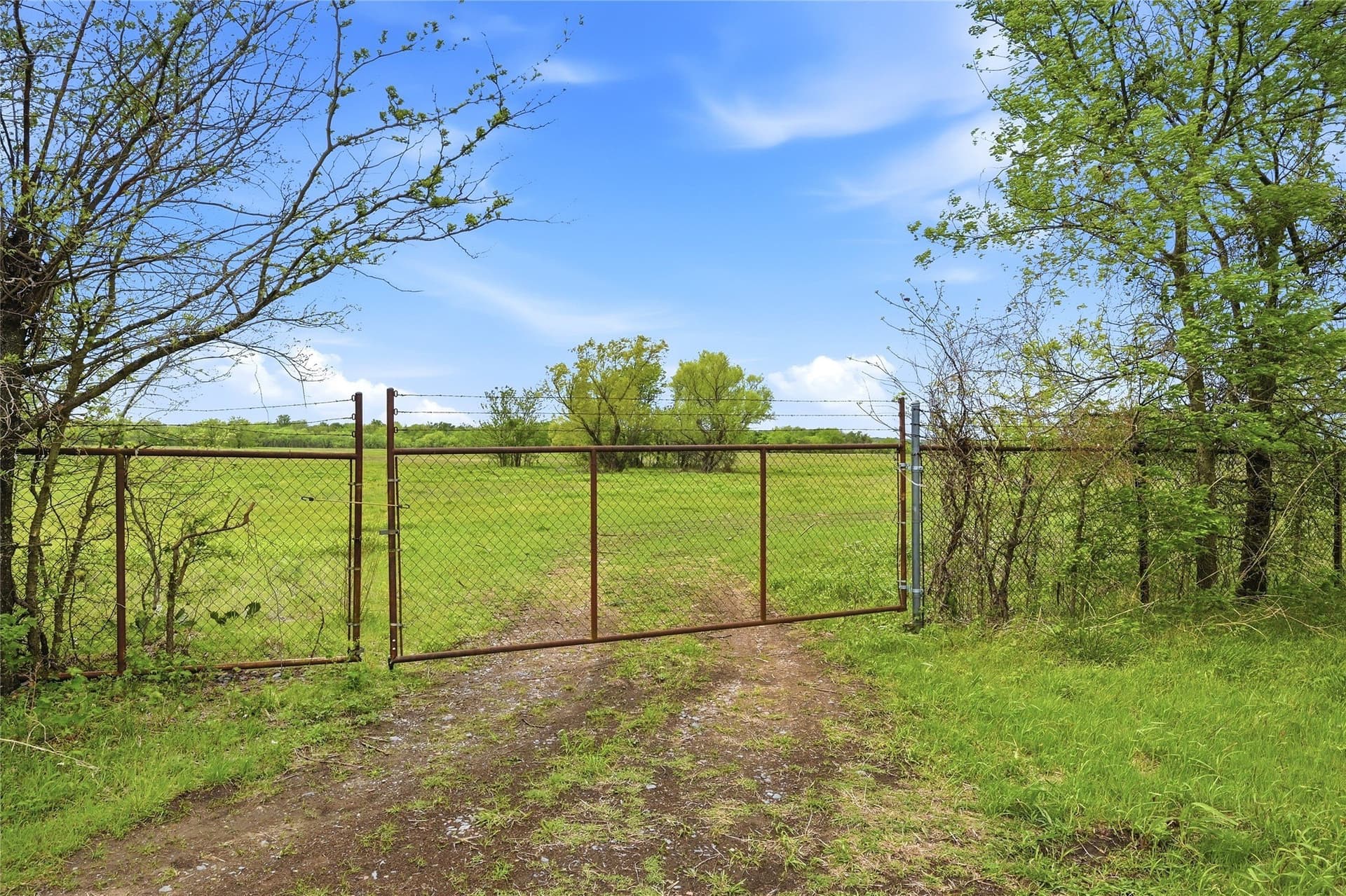 19.16 acres in Grayson County - photo 5