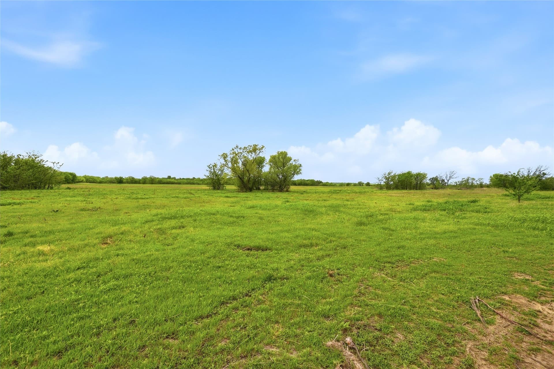 19.16 acres in Grayson County - photo 21