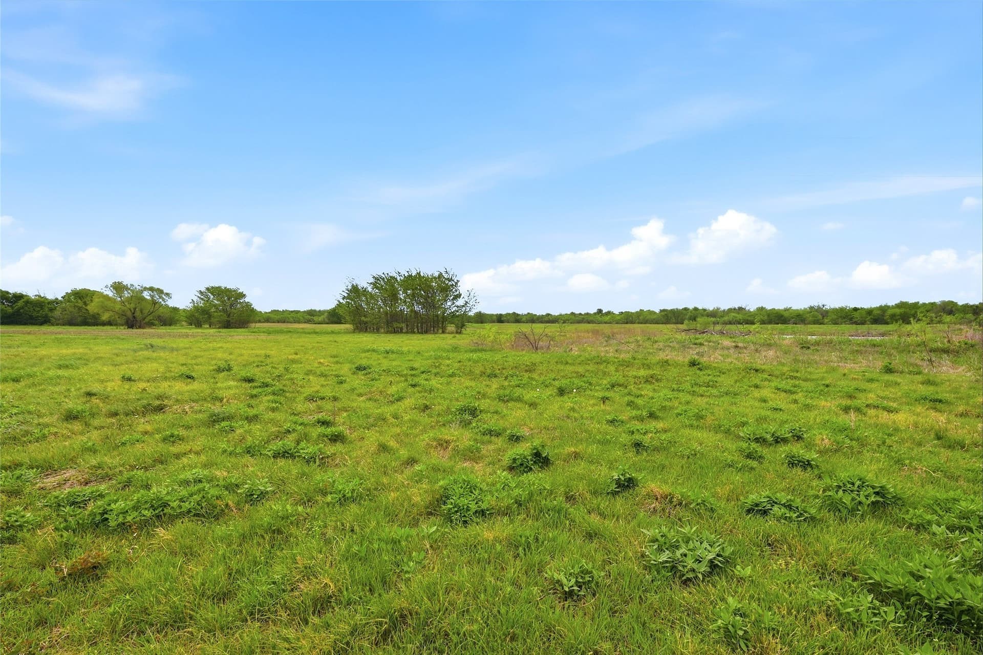 19.16 acres in Grayson County