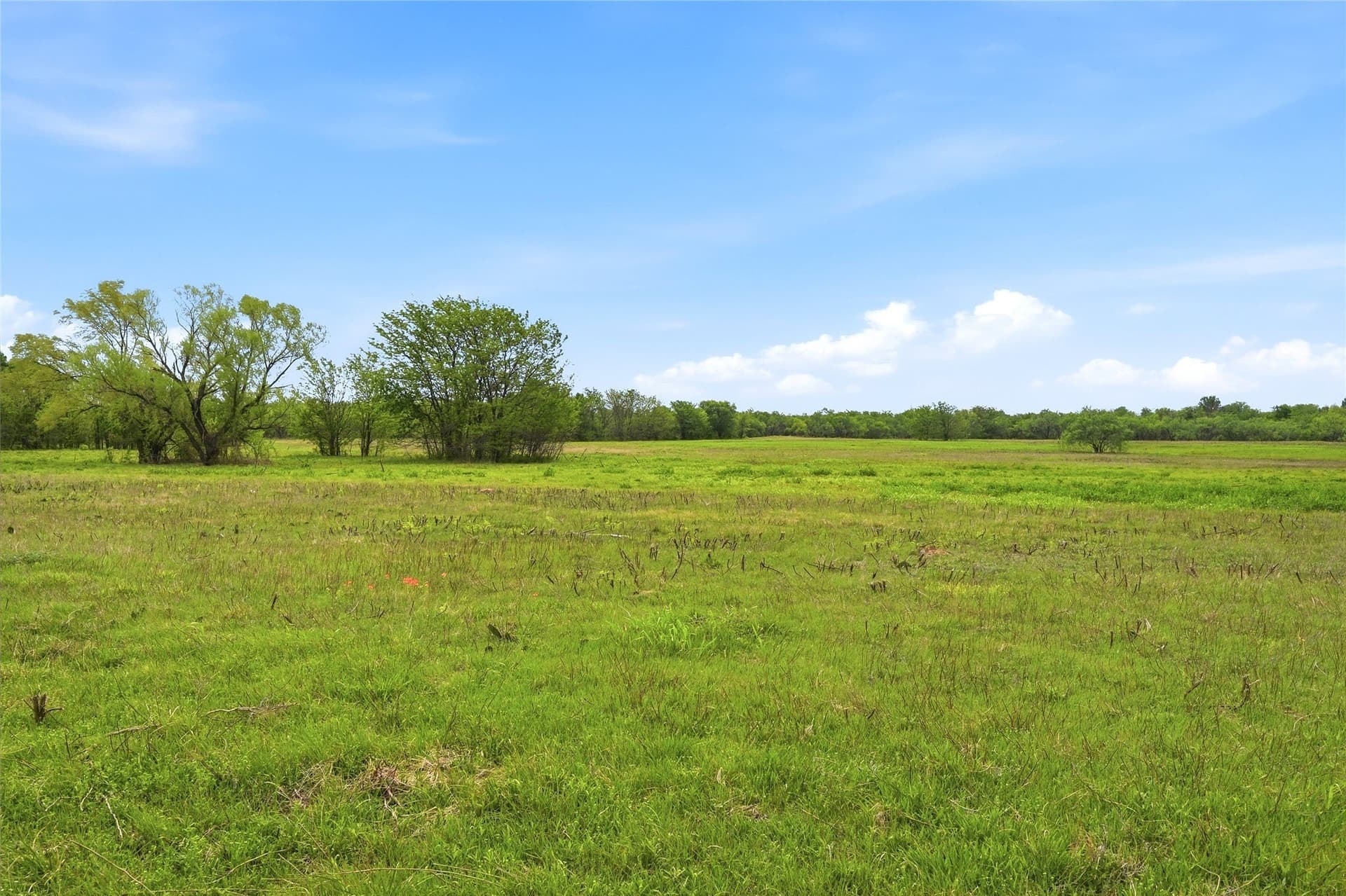 19.16 acres in Grayson County - photo 16